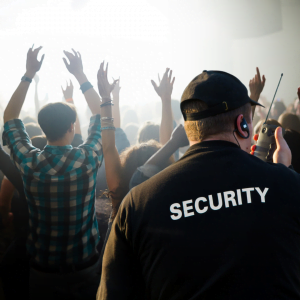Concert Security